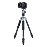 Tripod | Aluminum | C5i