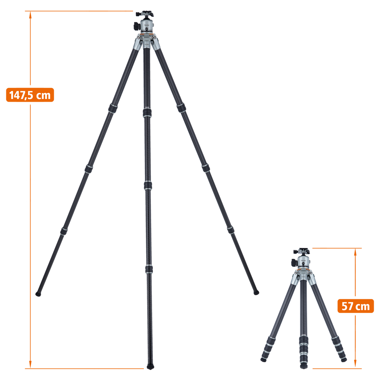 Lion rock pro including tripod head