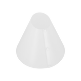 light cone